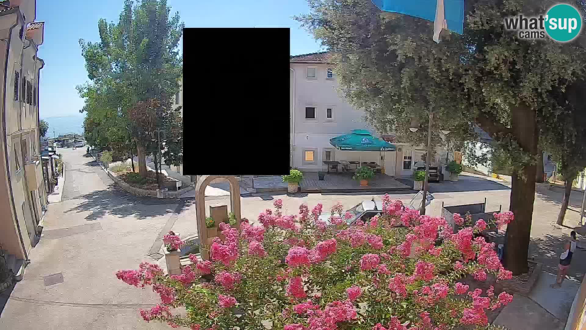 Webcam Centro Draga di Moschiena – Vista live sul centro