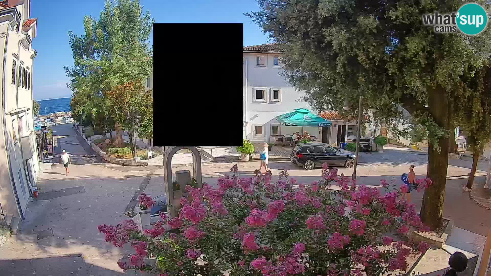 Webcam Centro Draga di Moschiena – Vista live sul centro