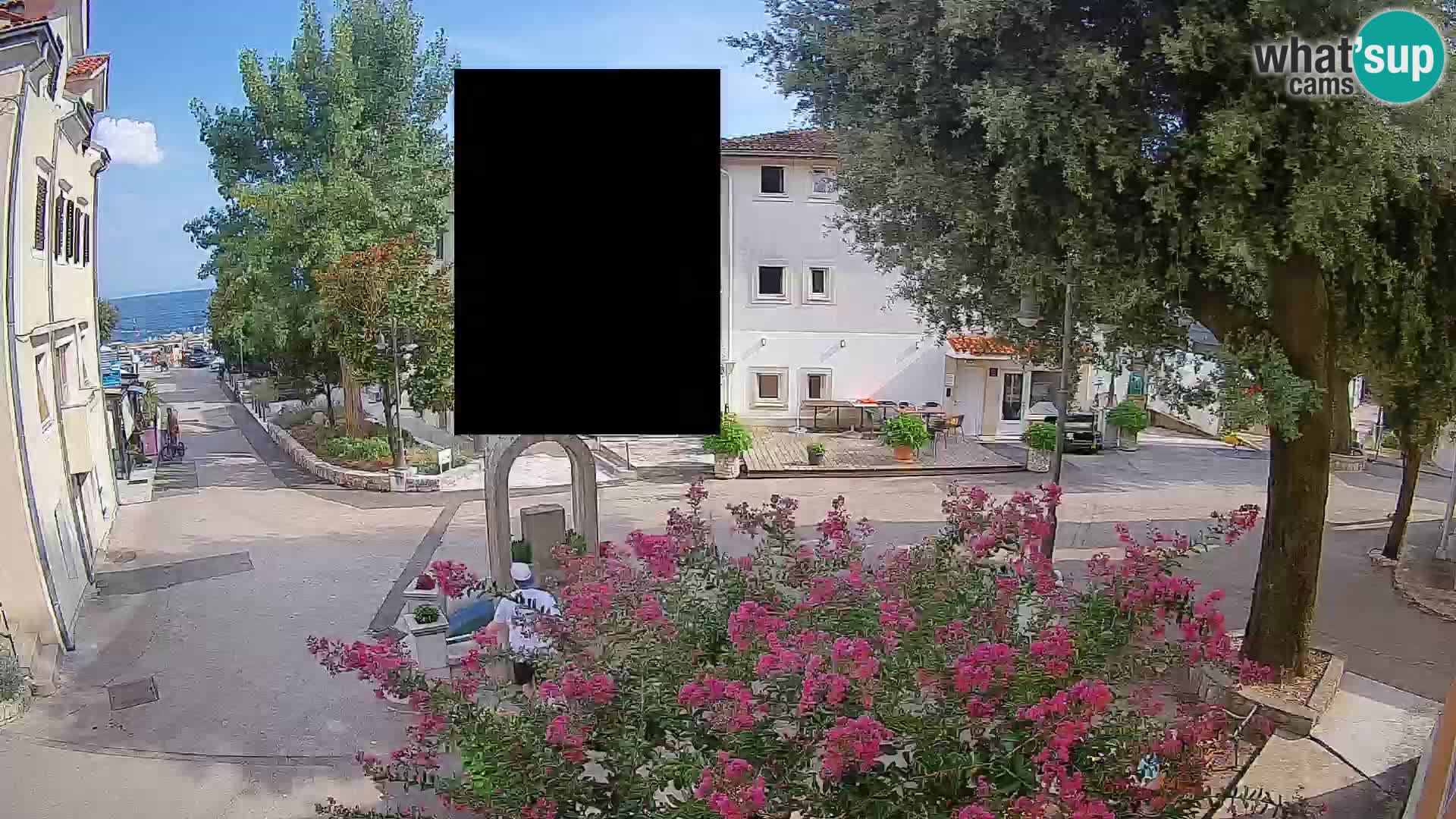 Webcam Centro Draga di Moschiena – Vista live sul centro