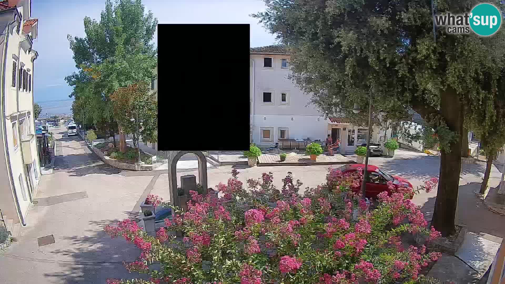 Webcam Centro Draga di Moschiena – Vista live sul centro