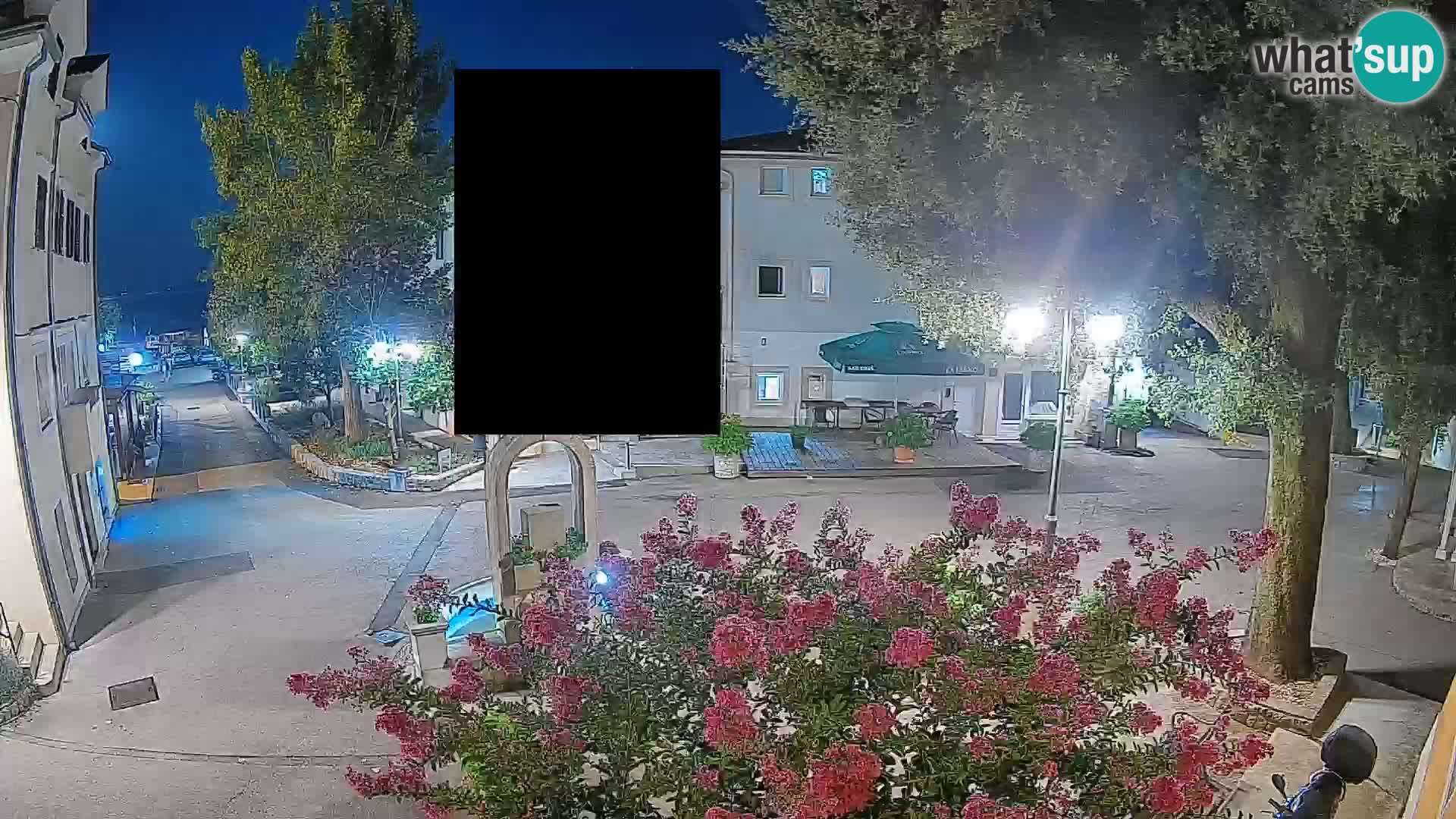 Webcam Centro Draga di Moschiena – Vista live sul centro