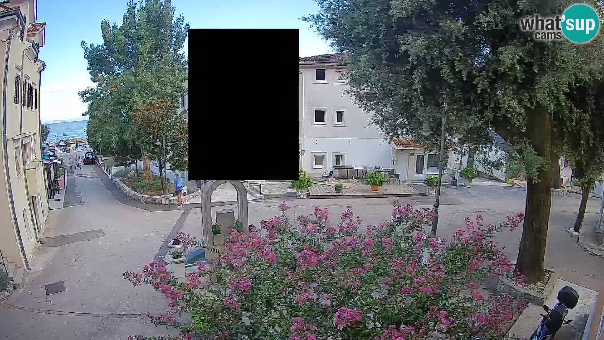 Webcam Centro Draga di Moschiena – Vista live sul centro