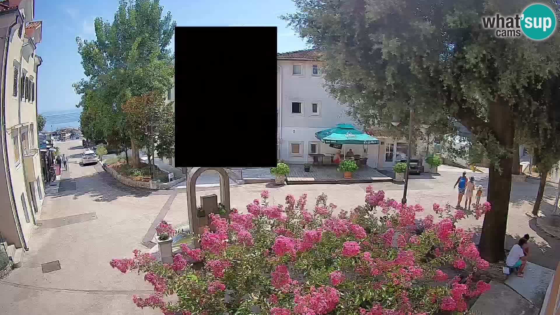 Webcam Centro Draga di Moschiena – Vista live sul centro