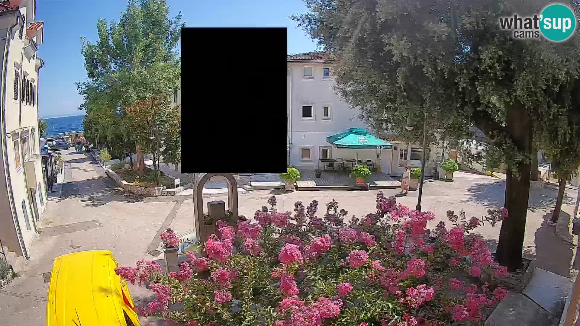 Webcam Centro Draga di Moschiena – Vista live sul centro