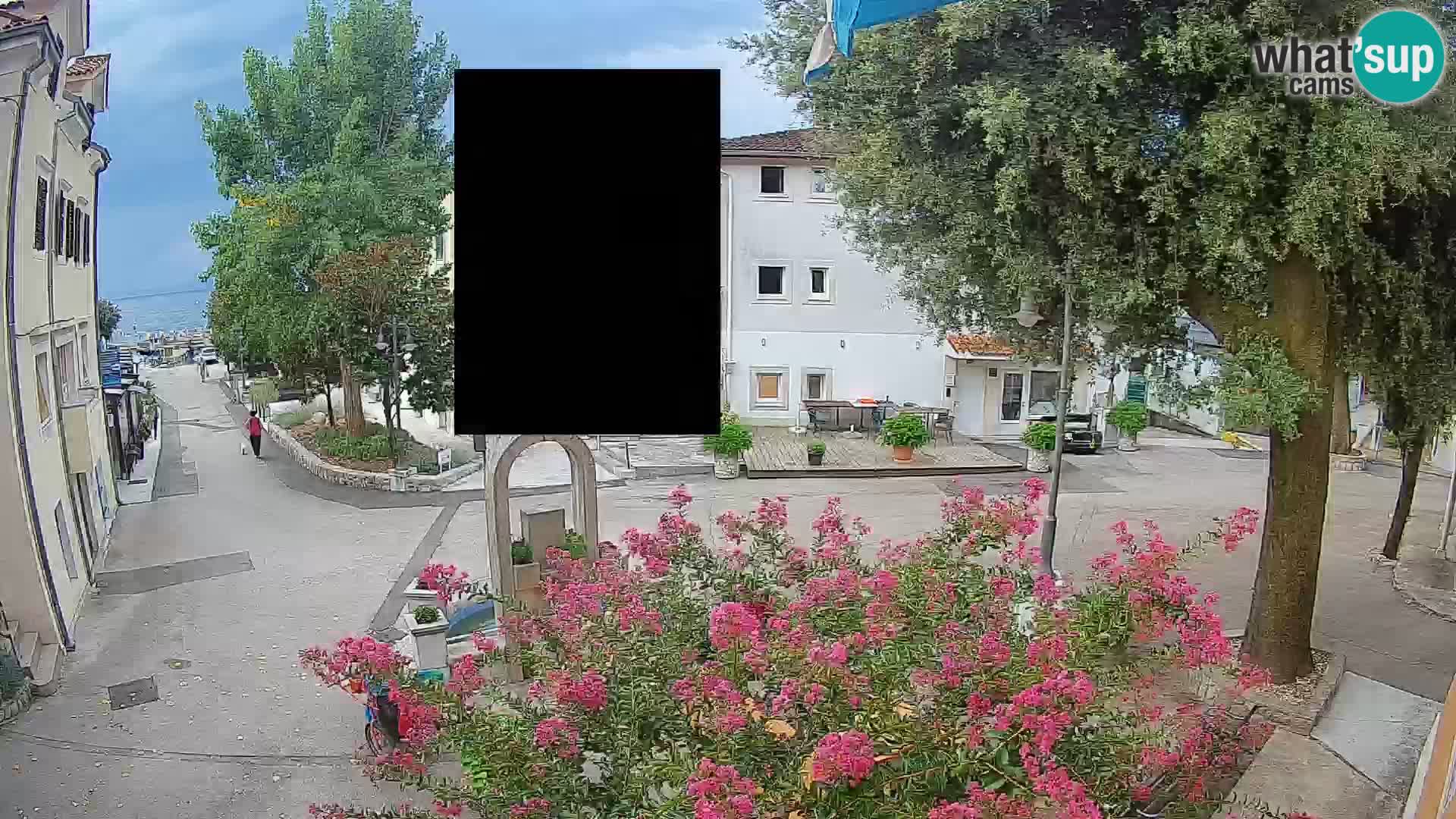 Webcam Centro Draga di Moschiena – Vista live sul centro