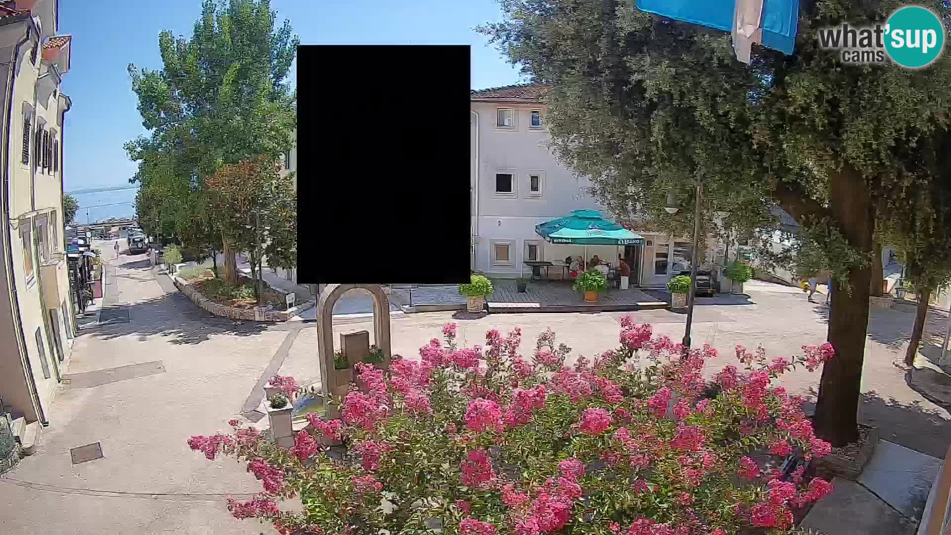 Webcam Centro Draga di Moschiena – Vista live sul centro