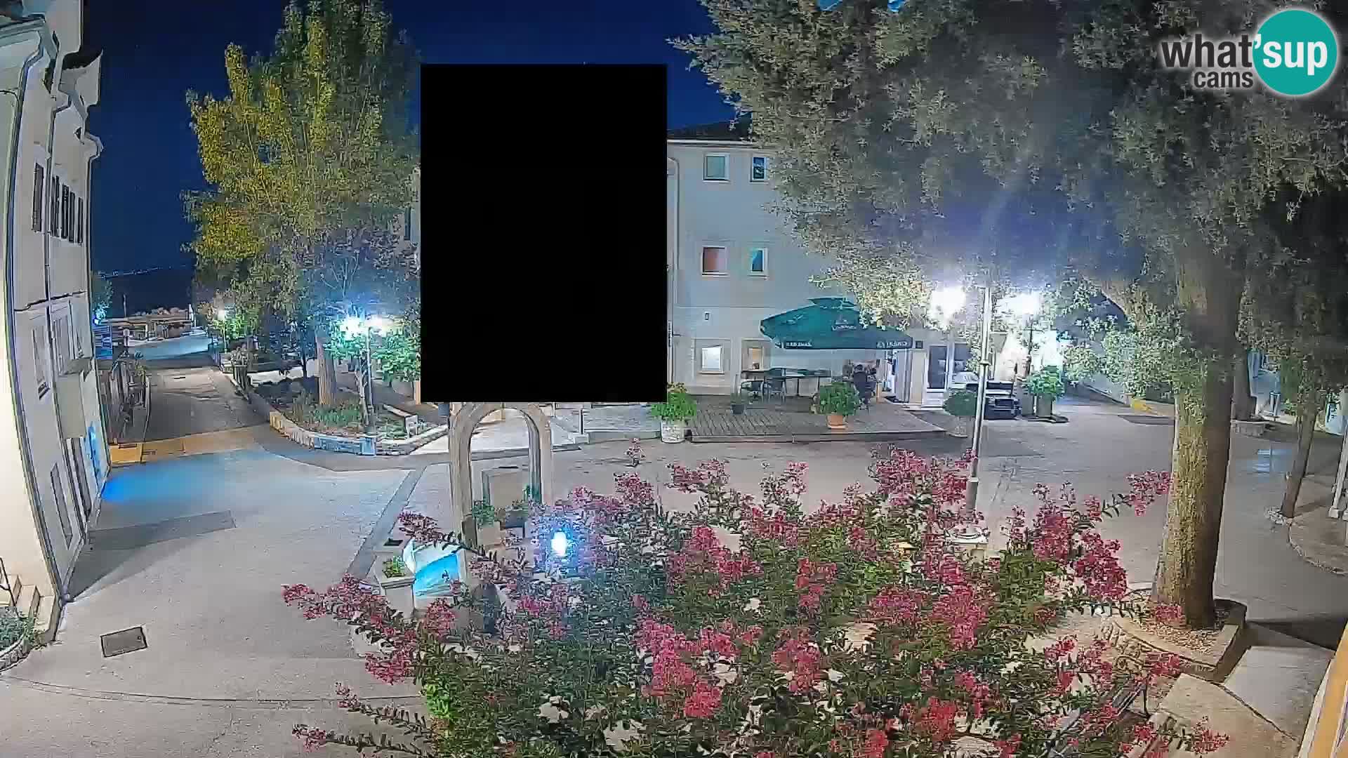 Webcam Centro Draga di Moschiena – Vista live sul centro