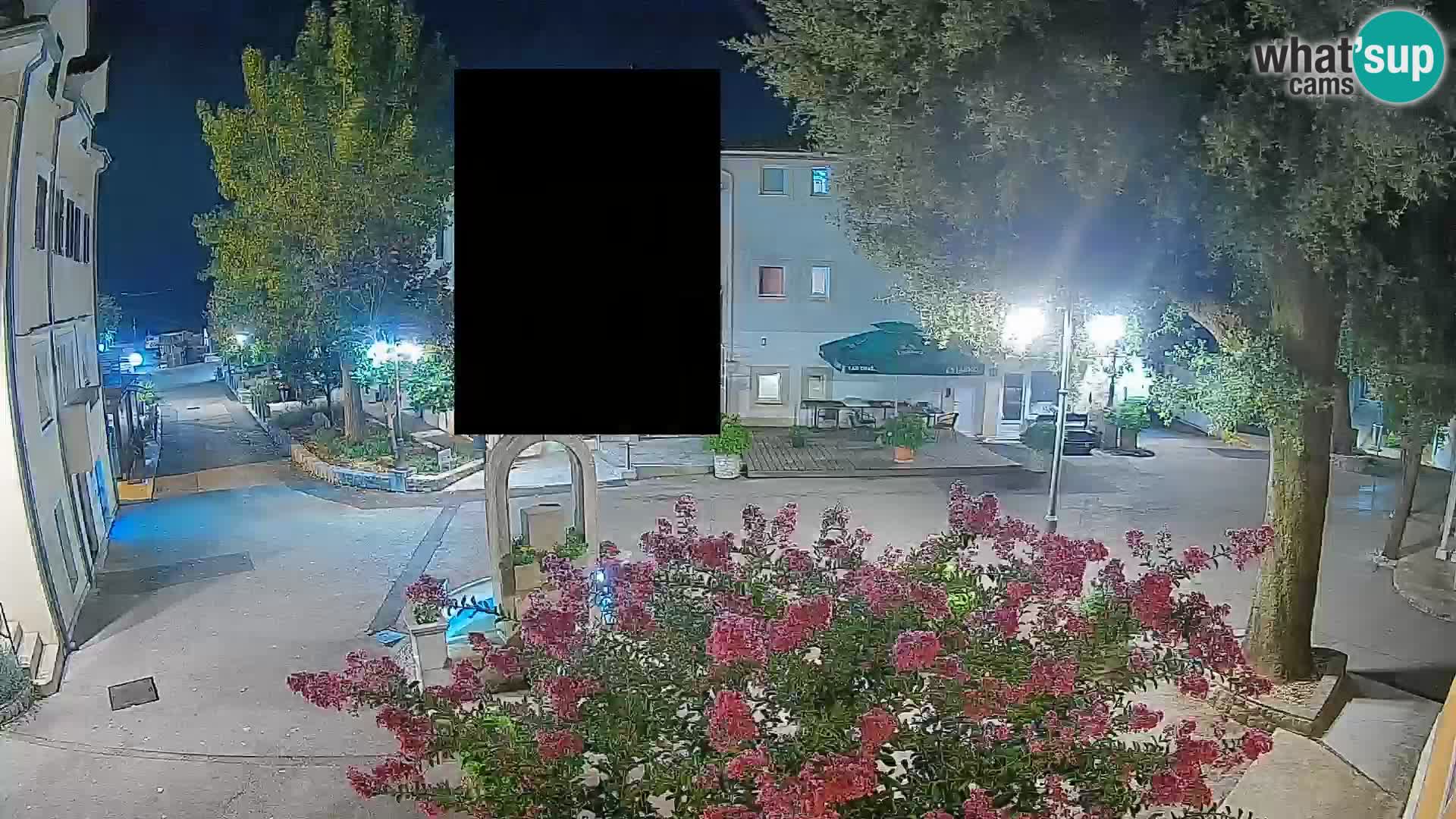 Webcam Centro Draga di Moschiena – Vista live sul centro