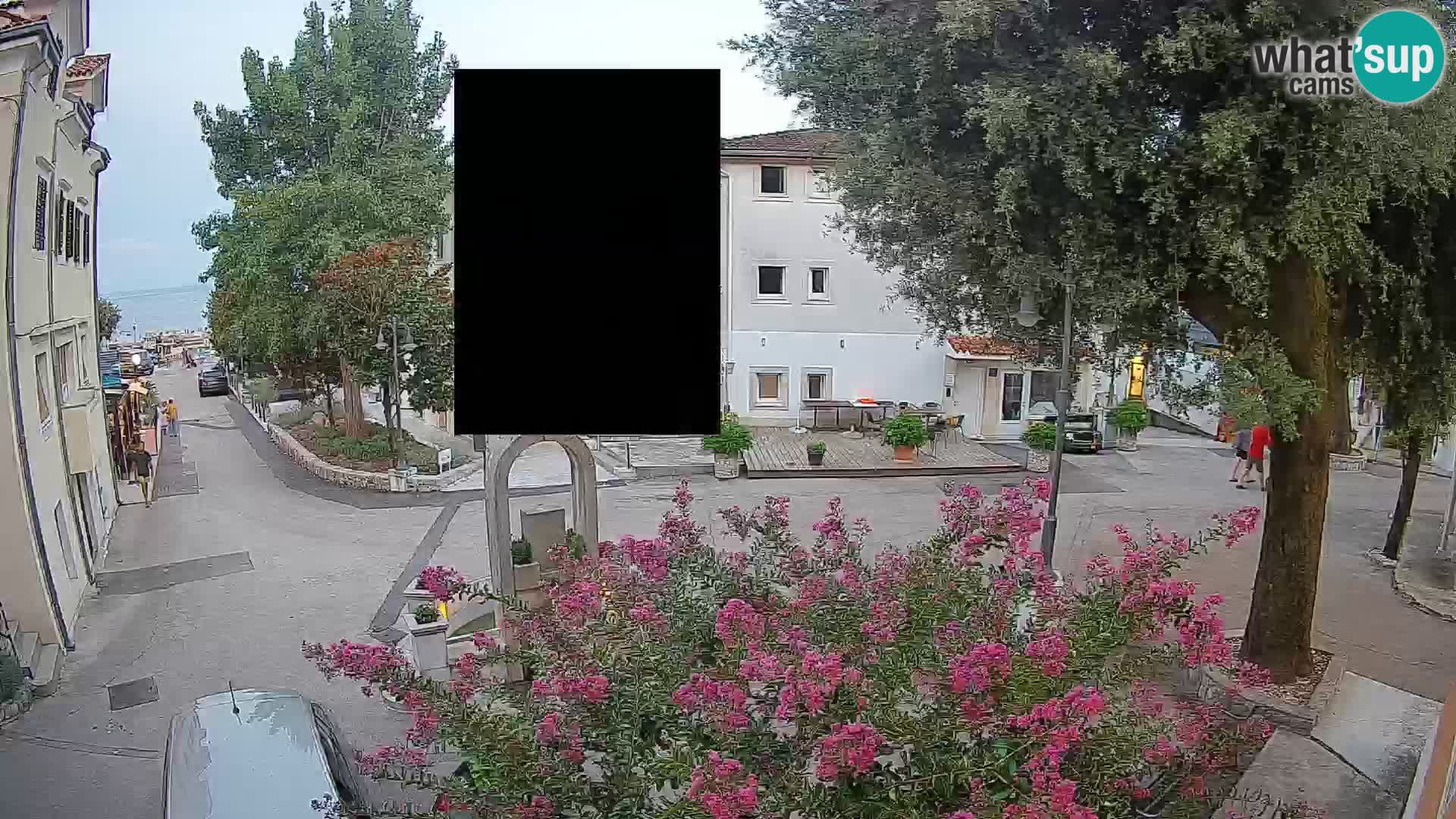 Webcam Centro Draga di Moschiena – Vista live sul centro