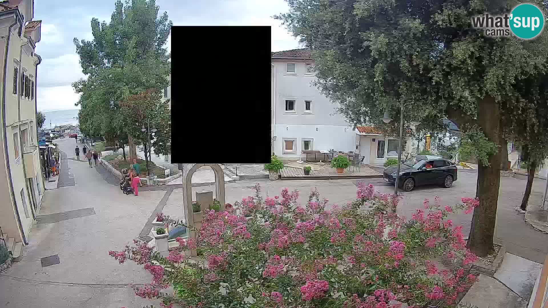 Webcam Centro Draga di Moschiena – Vista live sul centro