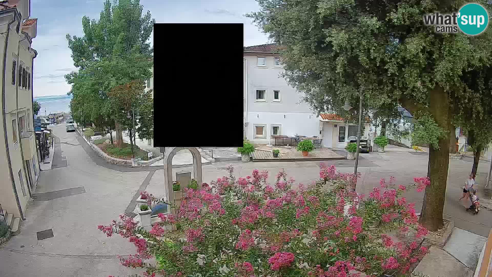 Webcam Centro Draga di Moschiena – Vista live sul centro