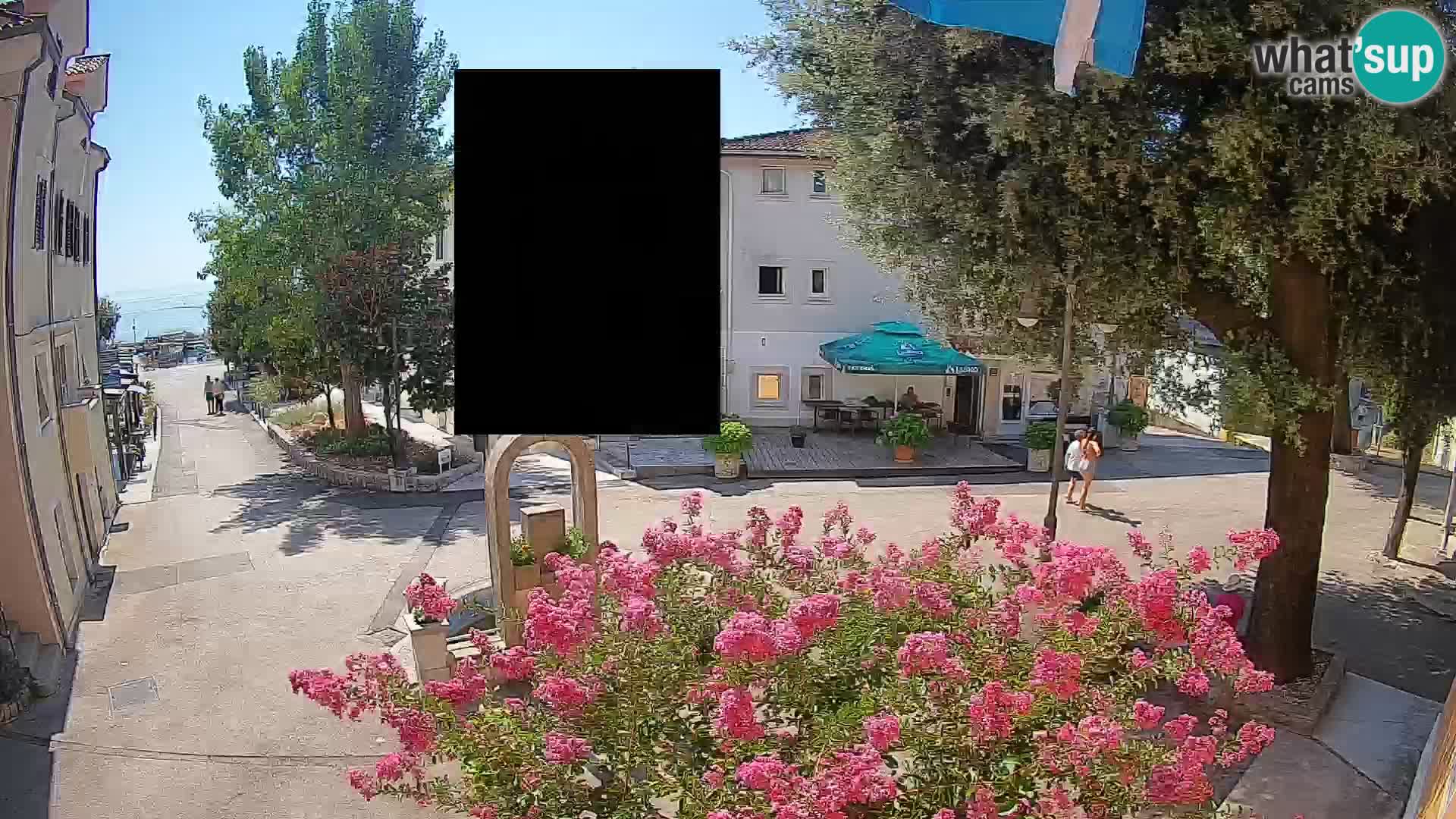Webcam Centro Draga di Moschiena – Vista live sul centro