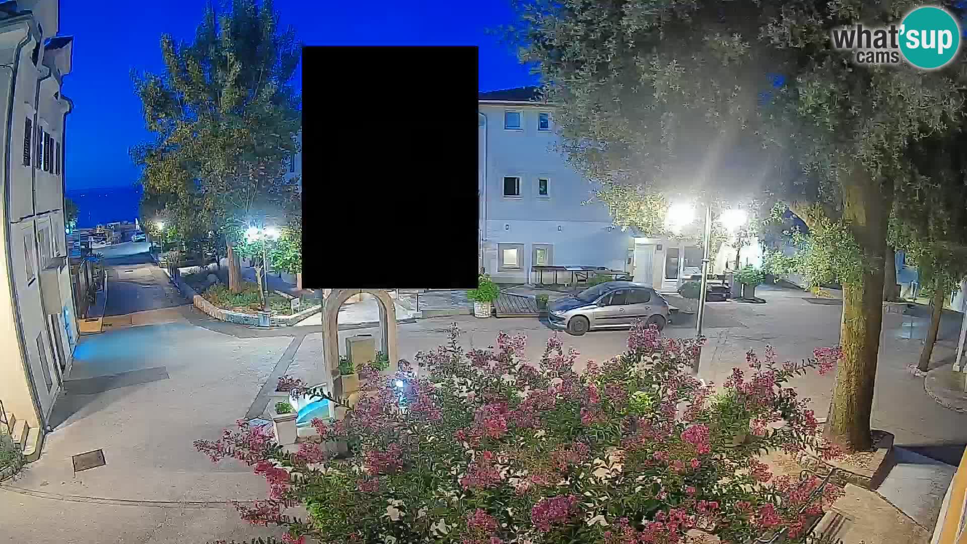 Webcam Centro Draga di Moschiena – Vista live sul centro