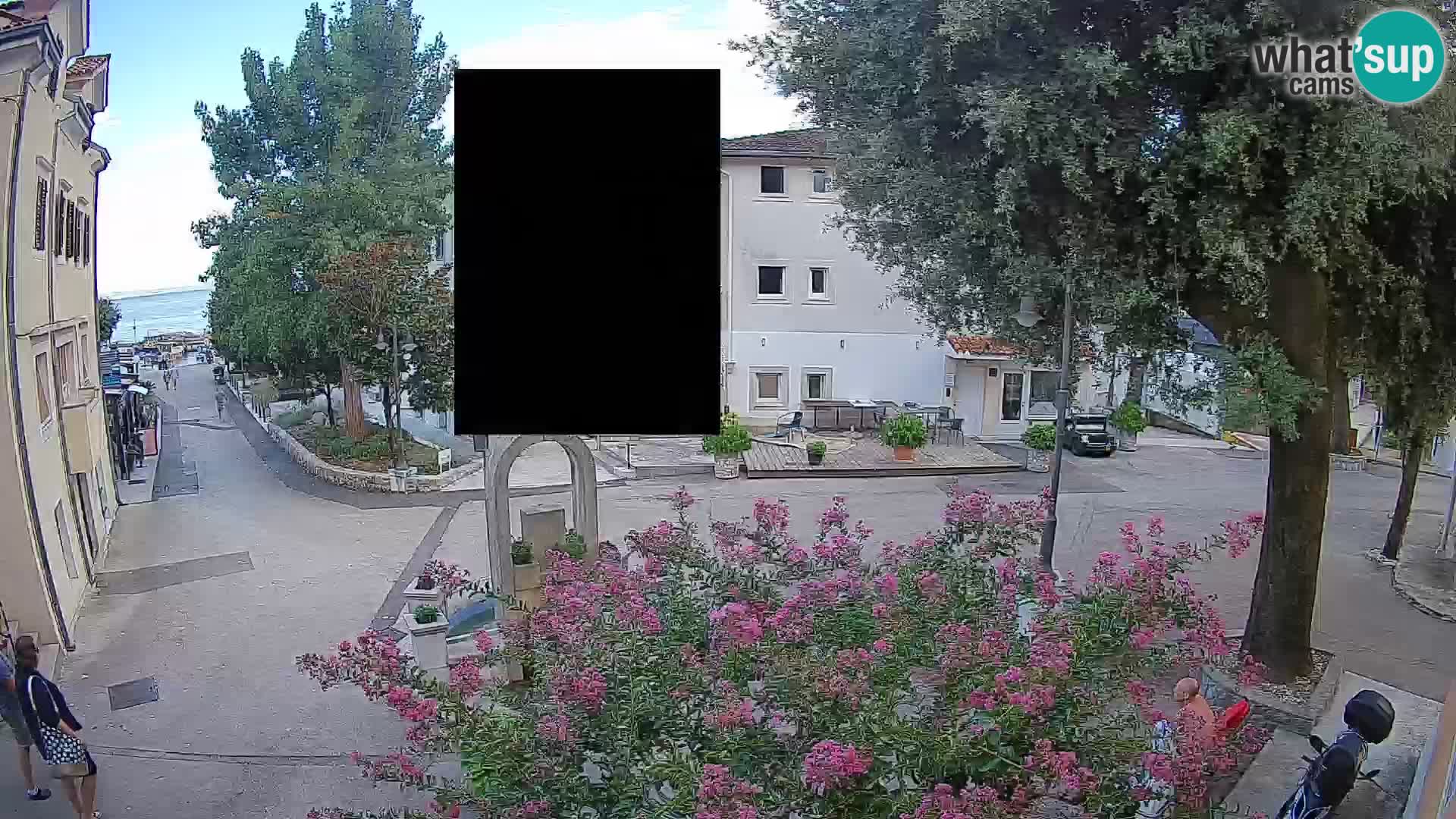 Webcam Centro Draga di Moschiena – Vista live sul centro