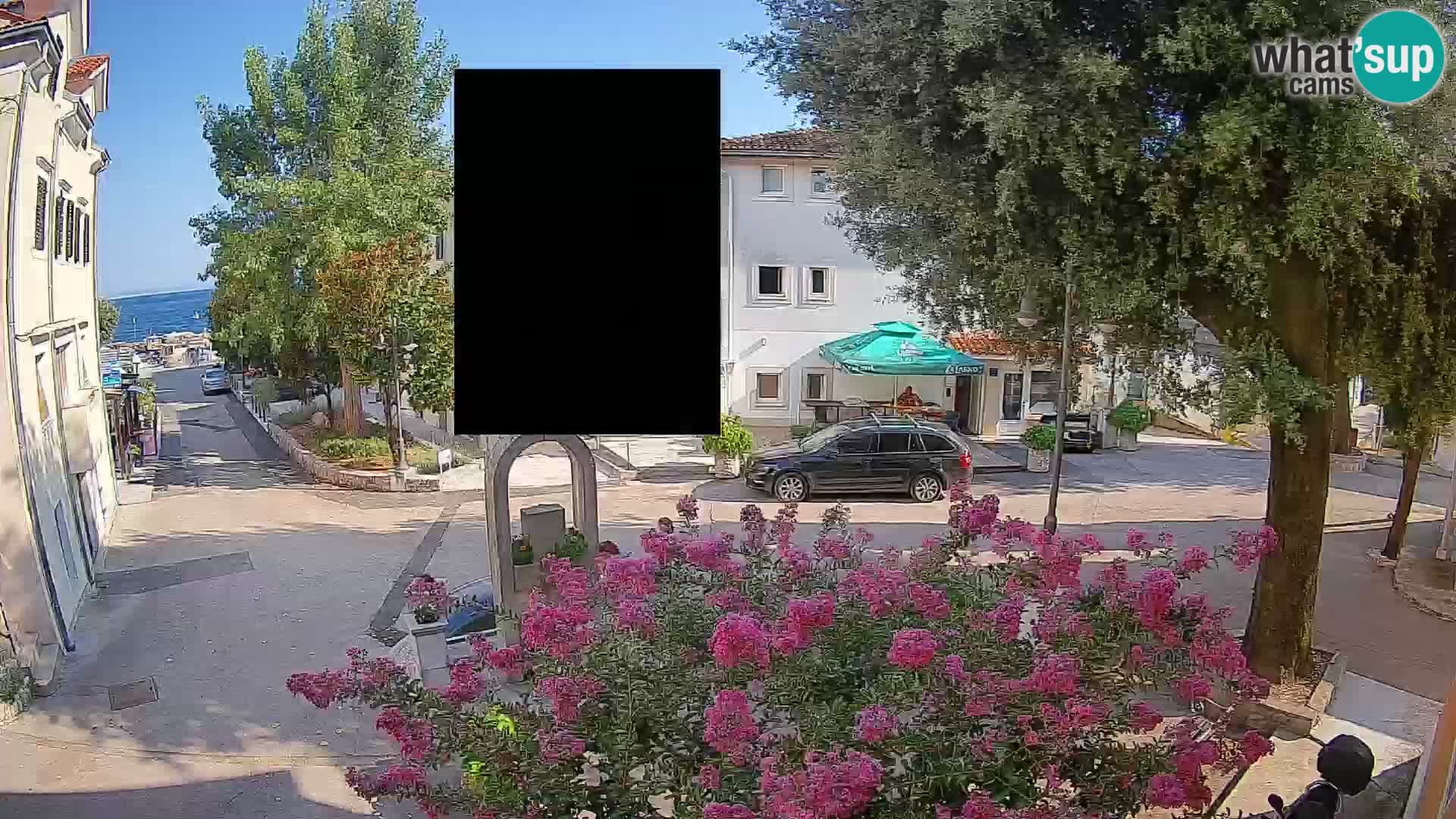 Webcam Centro Draga di Moschiena – Vista live sul centro