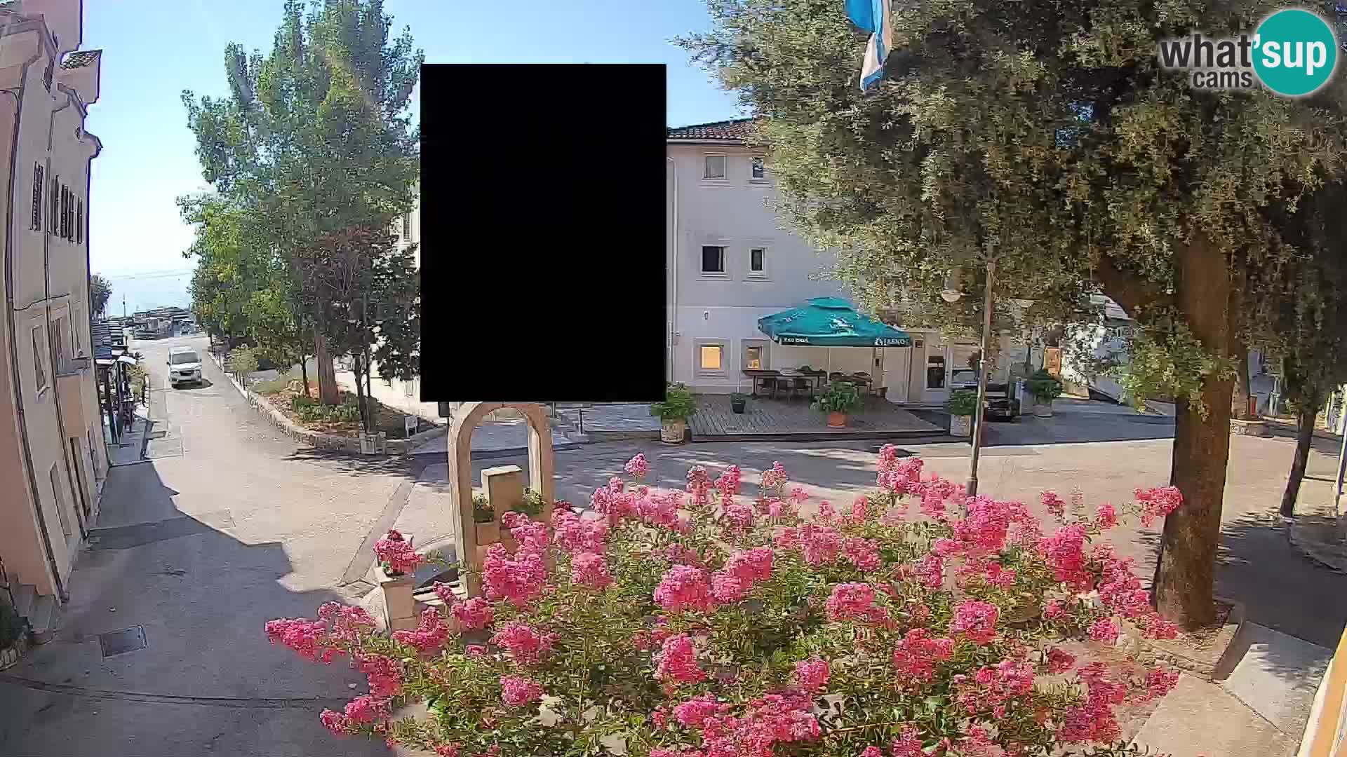 Webcam Centro Draga di Moschiena – Vista live sul centro