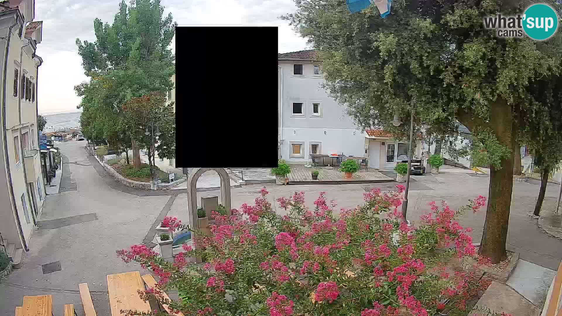 Webcam Centro Draga di Moschiena – Vista live sul centro