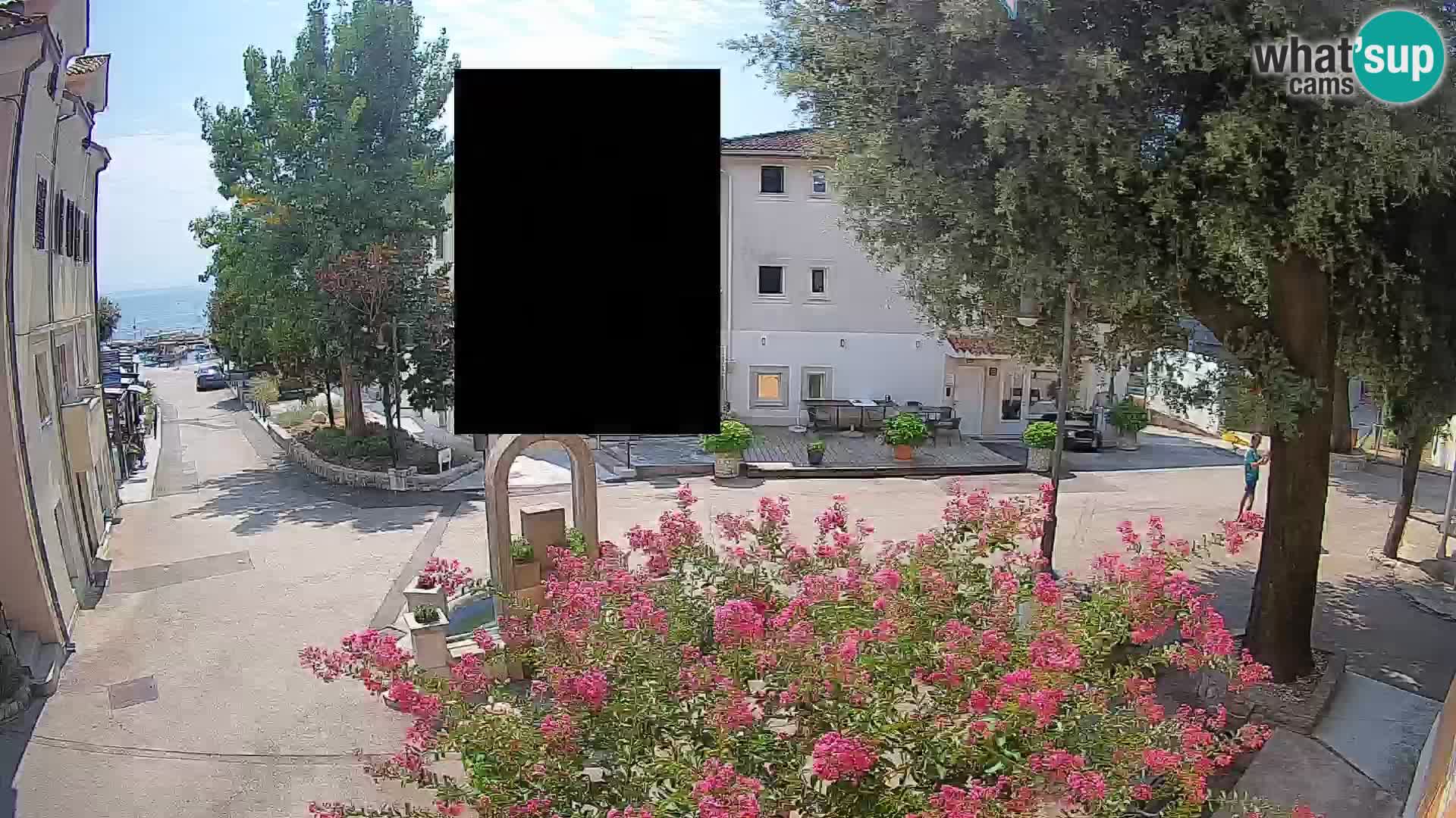 Webcam Centro Draga di Moschiena – Vista live sul centro