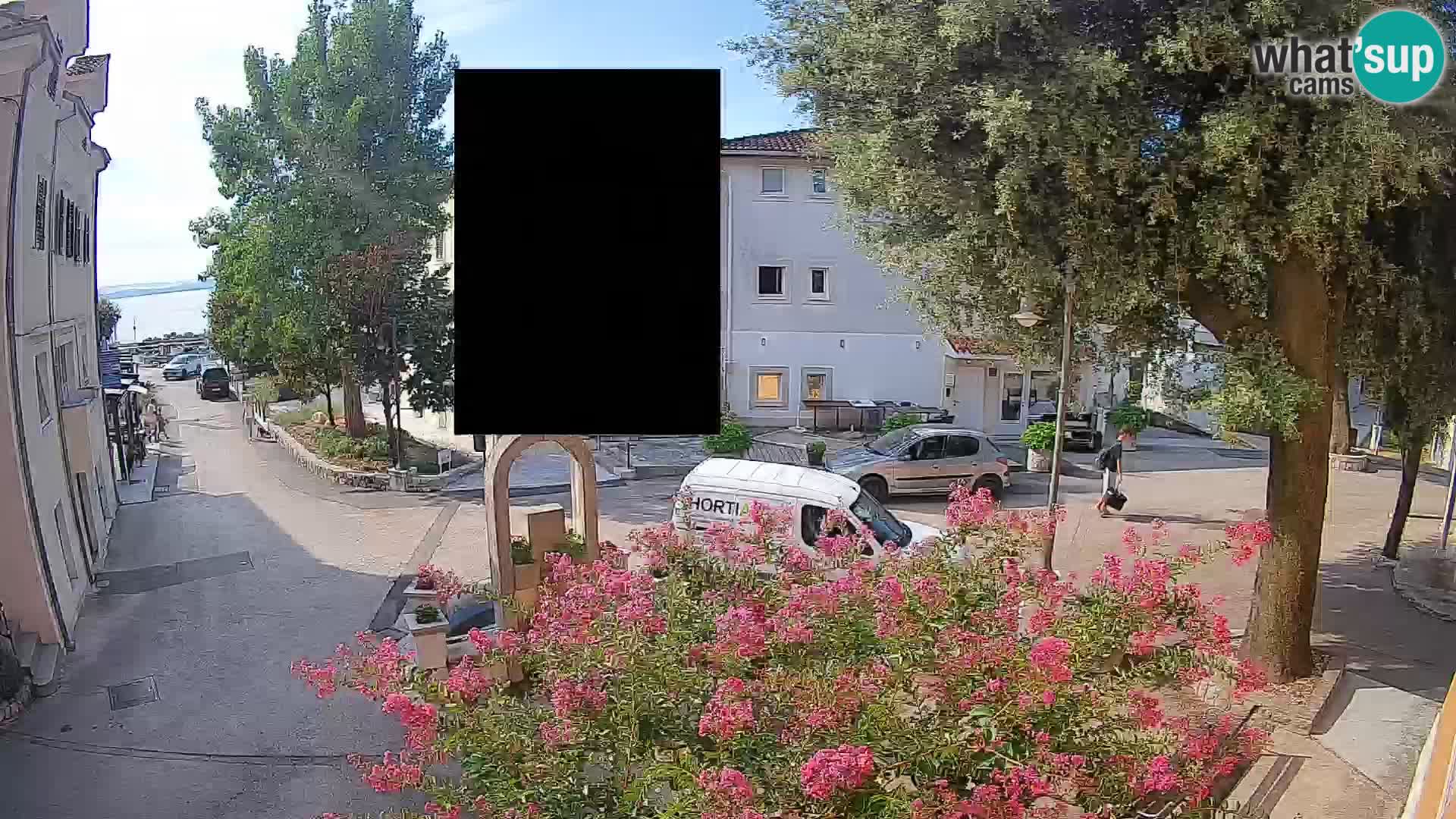 Webcam Centro Draga di Moschiena – Vista live sul centro