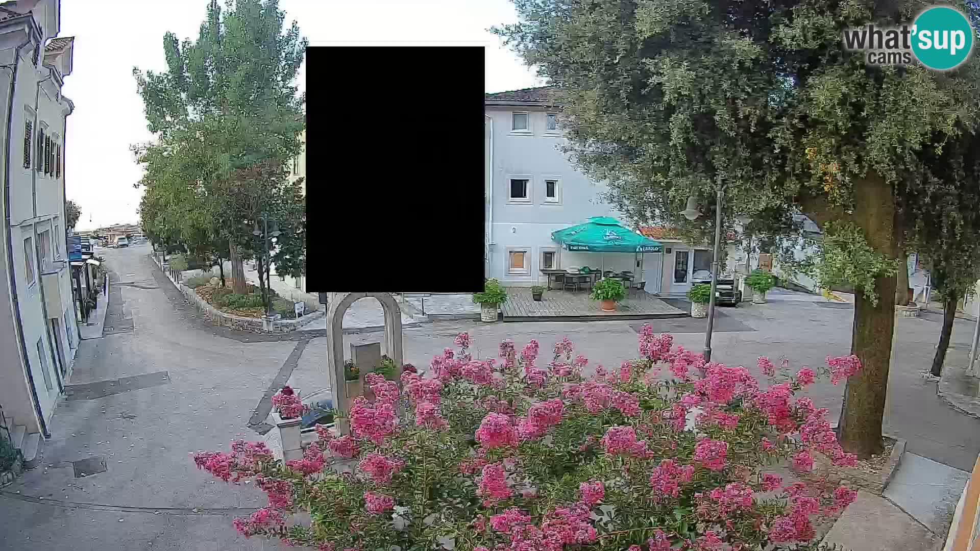 Webcam Centro Draga di Moschiena – Vista live sul centro