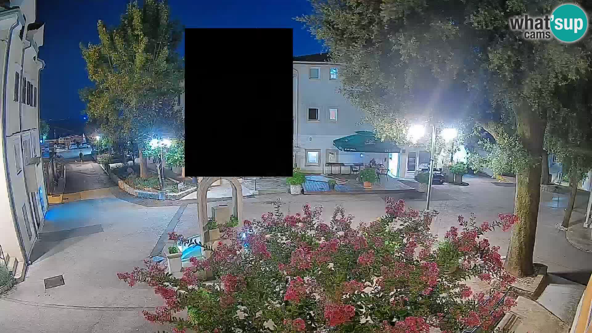 Webcam Centro Draga di Moschiena – Vista live sul centro