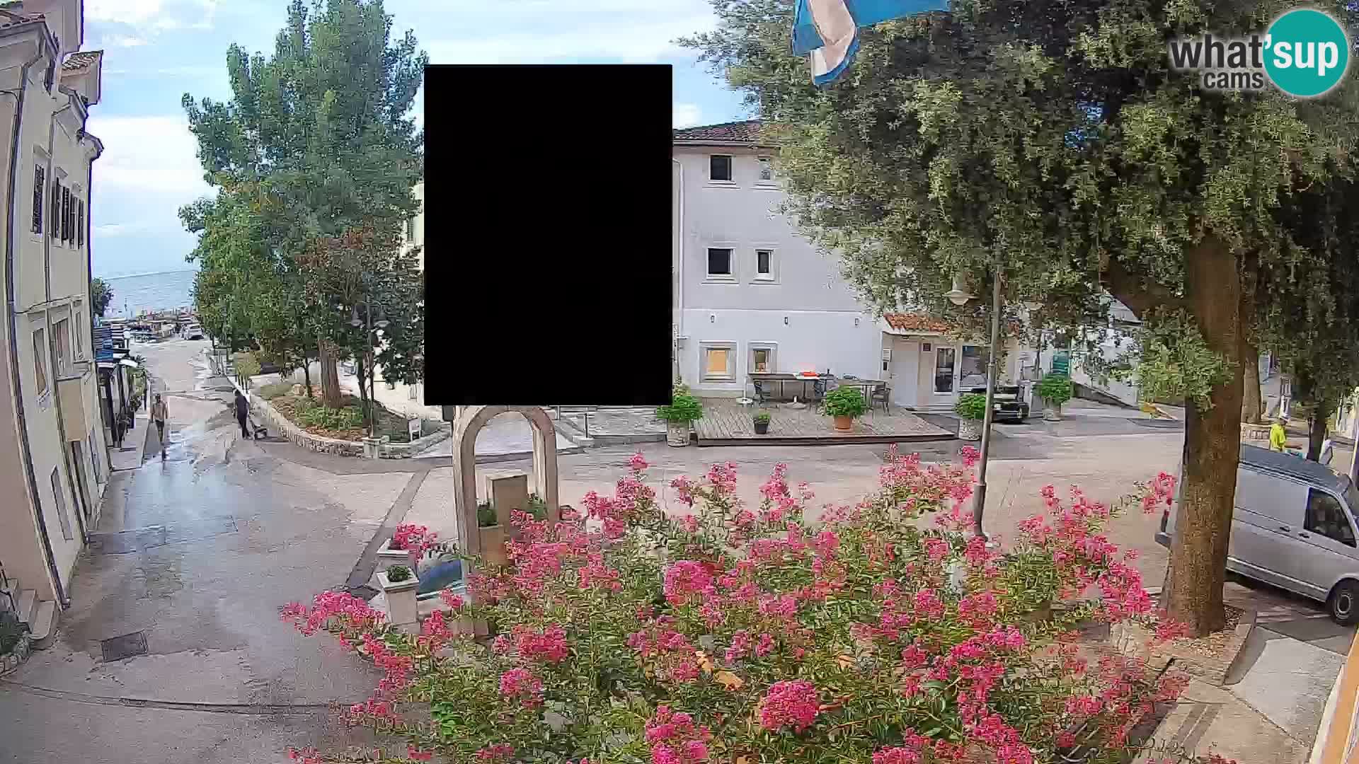 Webcam Centro Draga di Moschiena – Vista live sul centro