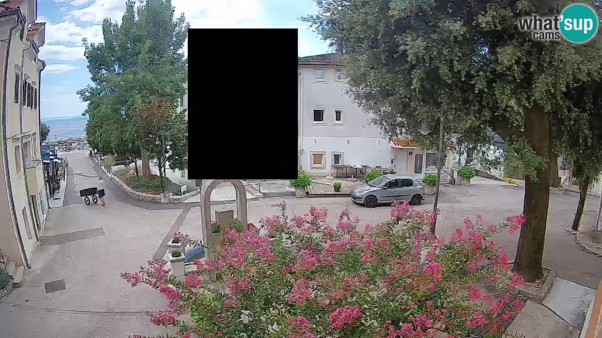 Webcam Centro Draga di Moschiena – Vista live sul centro