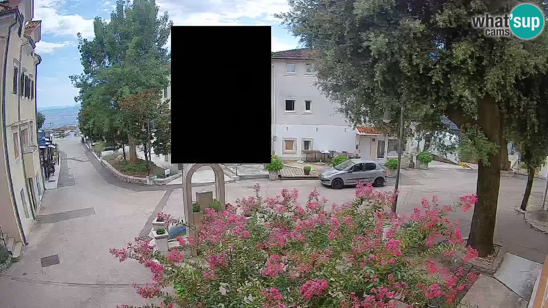 Webcam Centro Draga di Moschiena – Vista live sul centro
