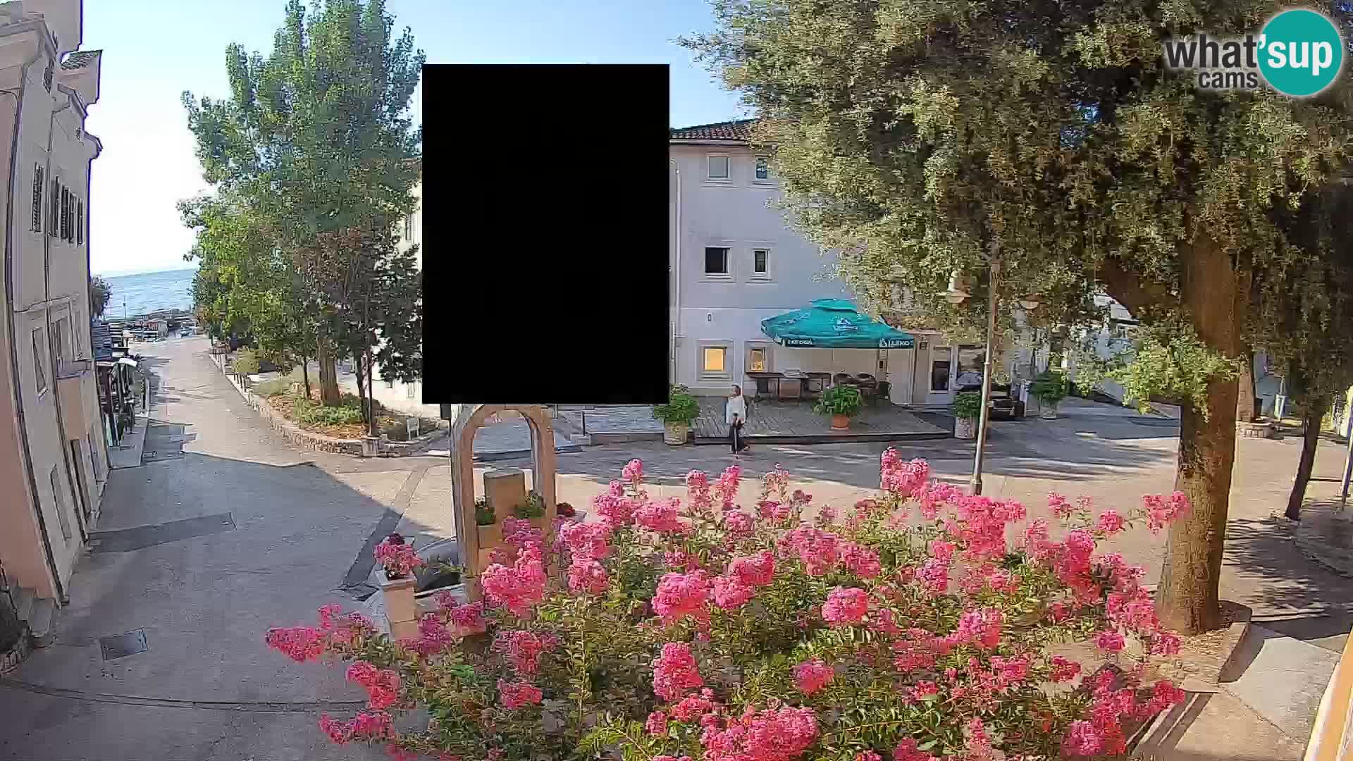 Webcam Centro Draga di Moschiena – Vista live sul centro