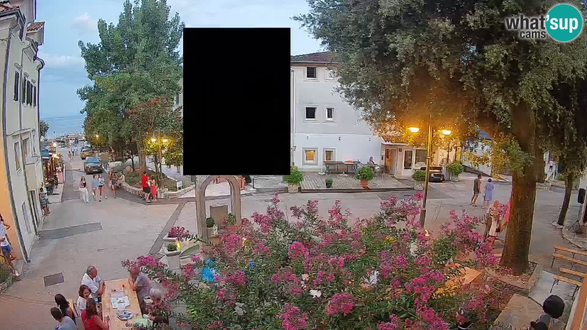 Webcam Centro Draga di Moschiena – Vista live sul centro