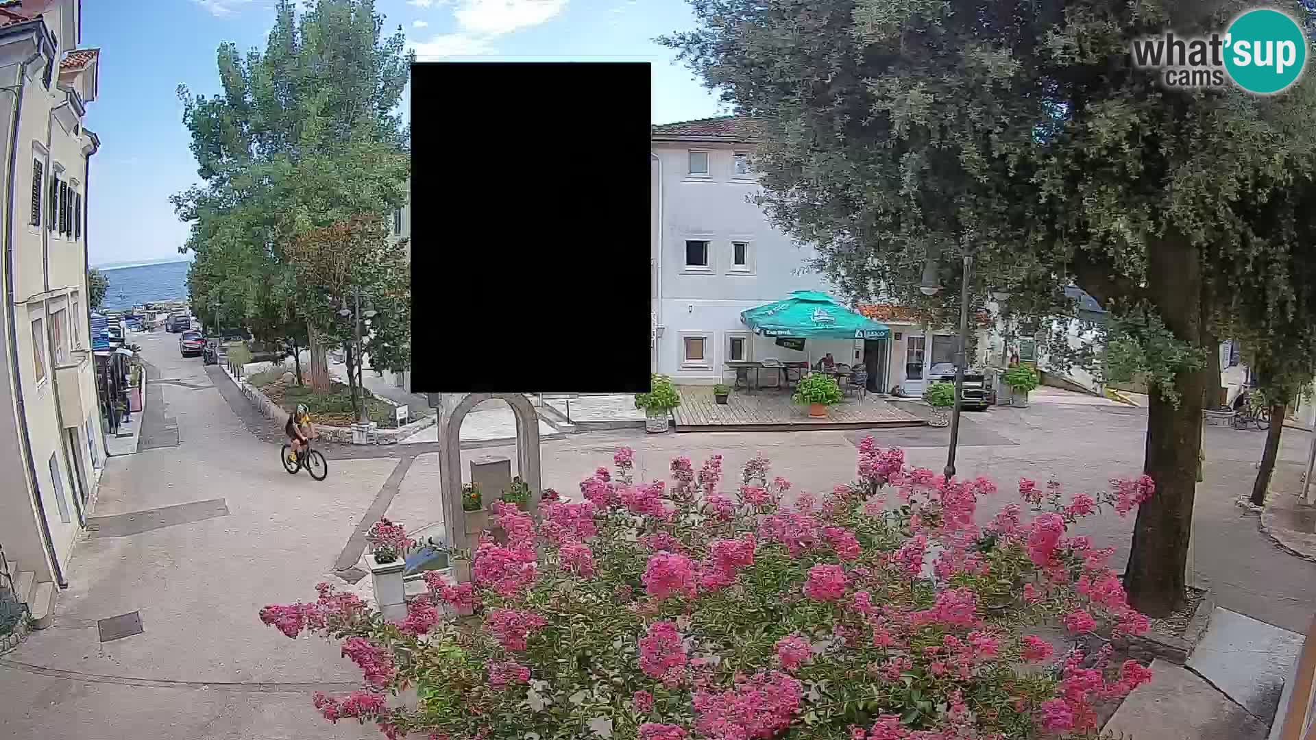 Webcam Centro Draga di Moschiena – Vista live sul centro