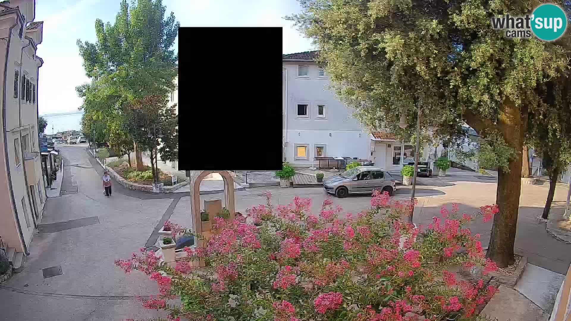 Webcam Centro Draga di Moschiena – Vista live sul centro