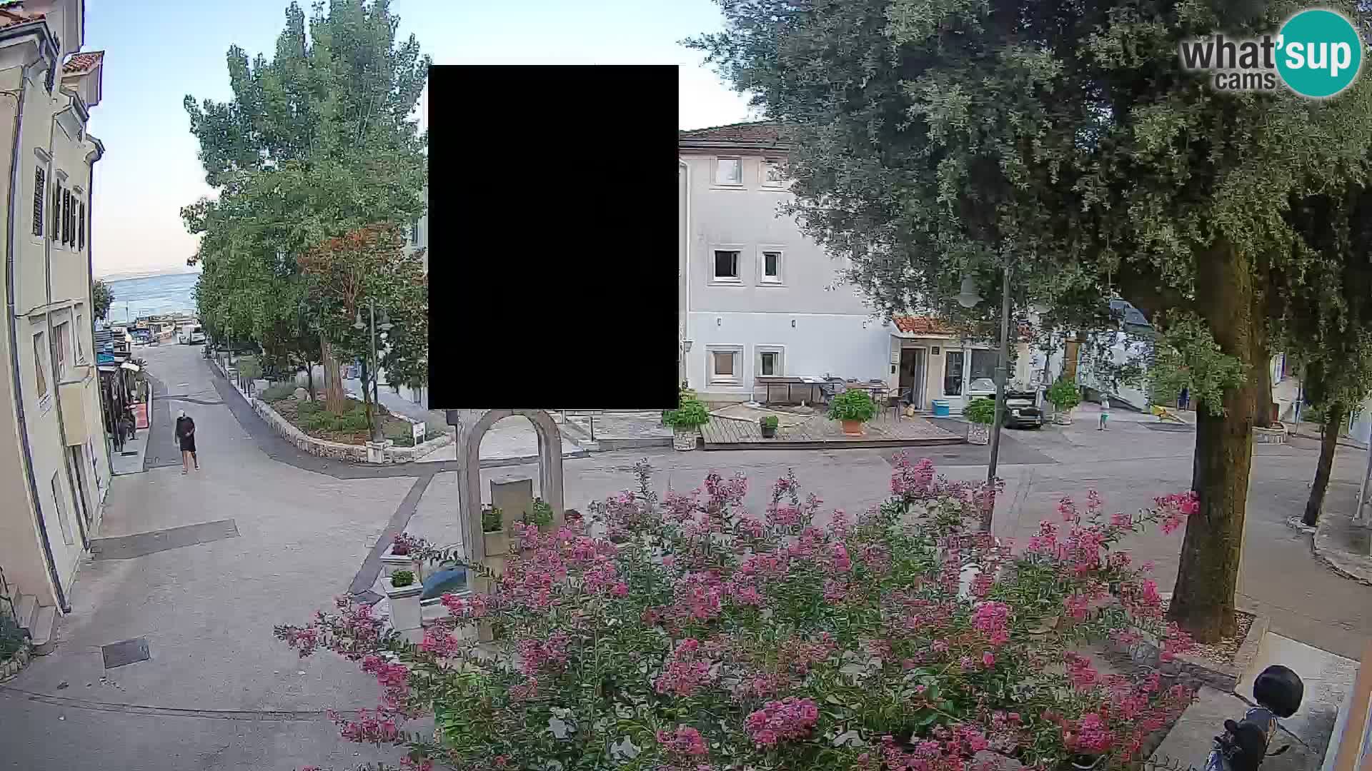 Webcam Centro Draga di Moschiena – Vista live sul centro