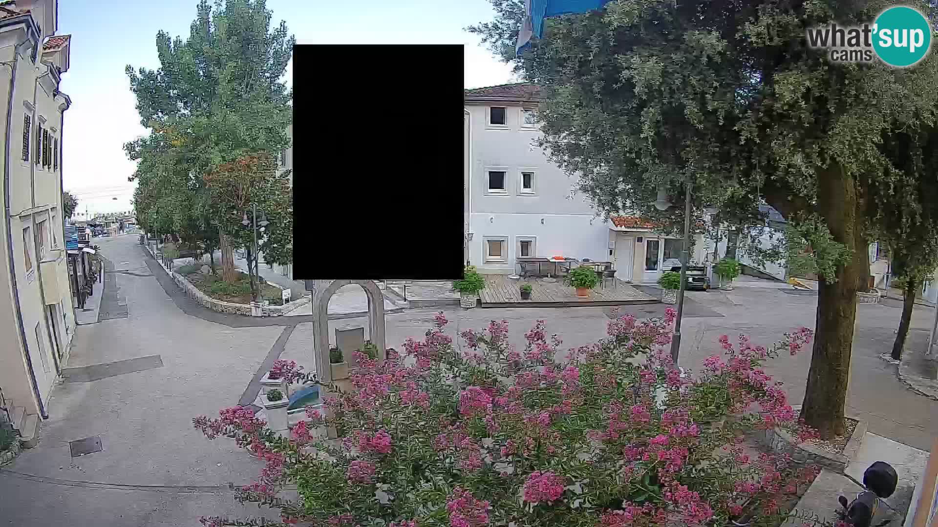 Webcam Centro Draga di Moschiena – Vista live sul centro