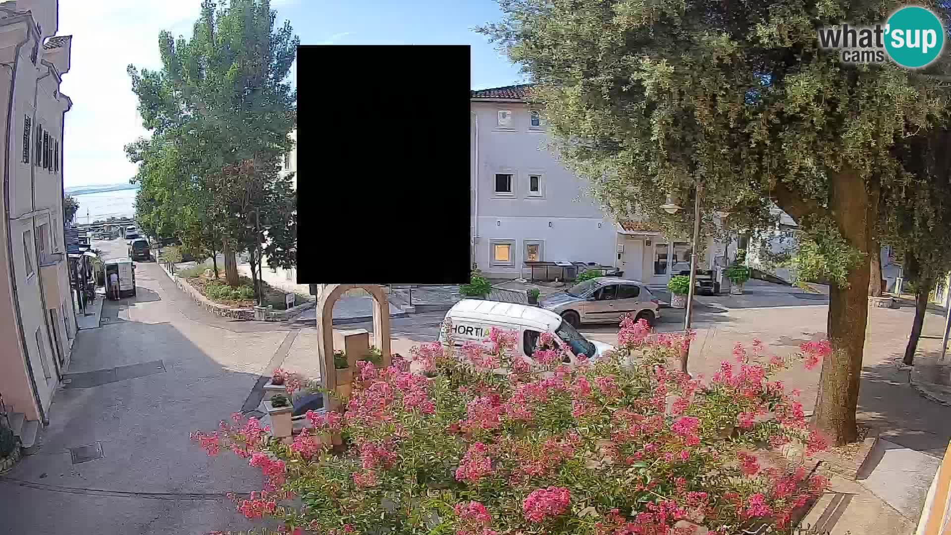 Webcam Centro Draga di Moschiena – Vista live sul centro
