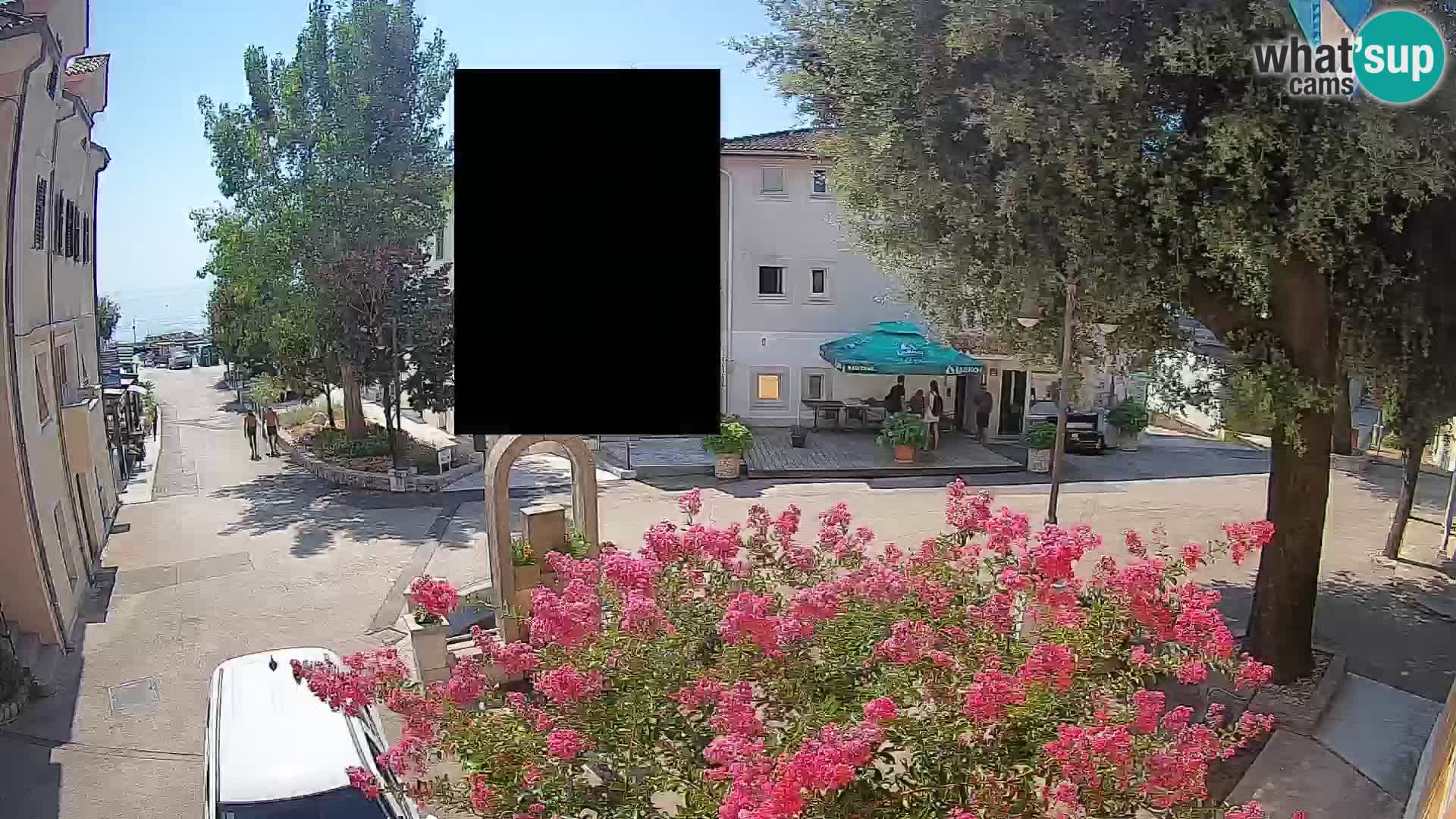 Webcam Centro Draga di Moschiena – Vista live sul centro