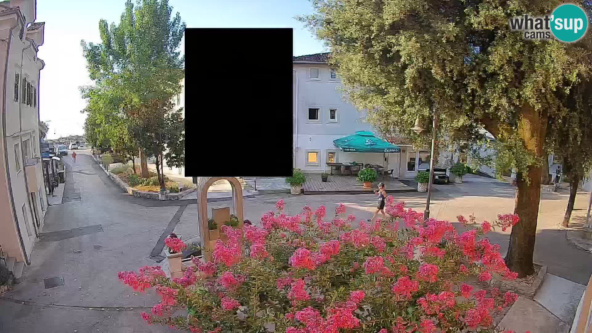 Webcam Centro Draga di Moschiena – Vista live sul centro