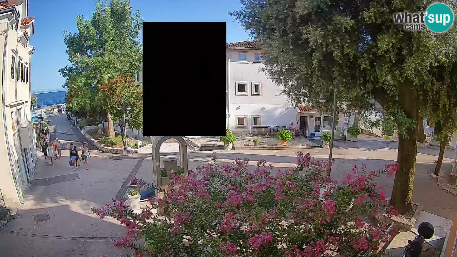Webcam Centro Draga di Moschiena – Vista live sul centro