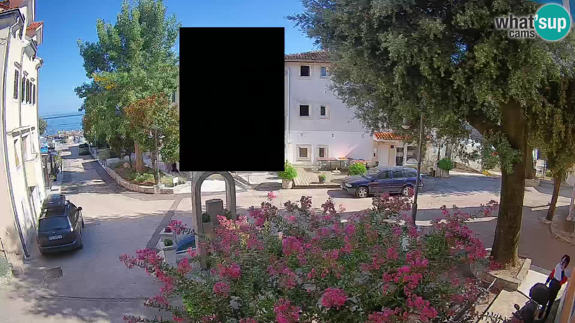 Webcam Centro Draga di Moschiena – Vista live sul centro