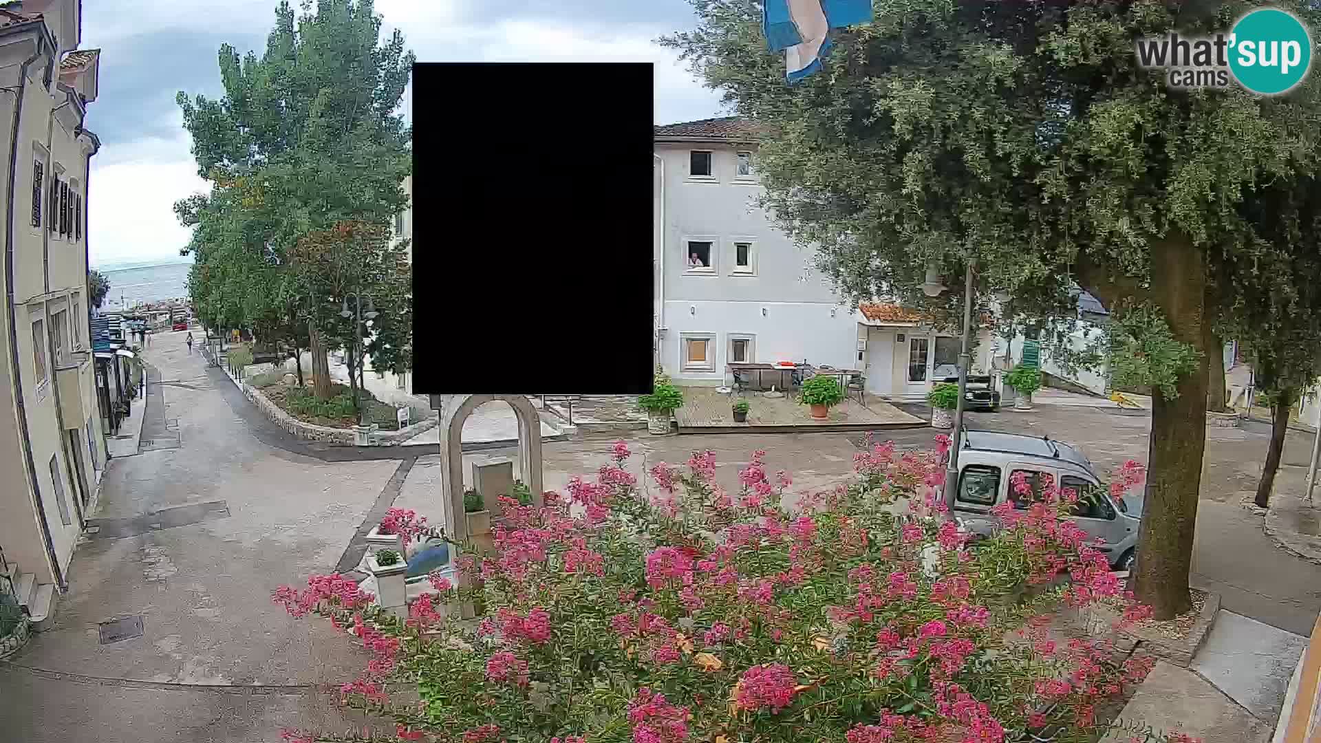 Webcam Centro Draga di Moschiena – Vista live sul centro