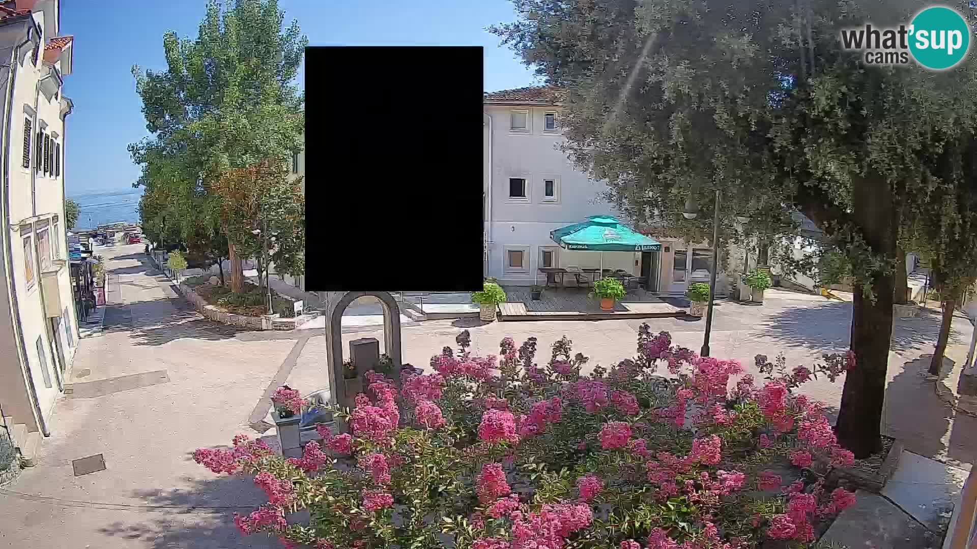 Webcam Centro Draga di Moschiena – Vista live sul centro