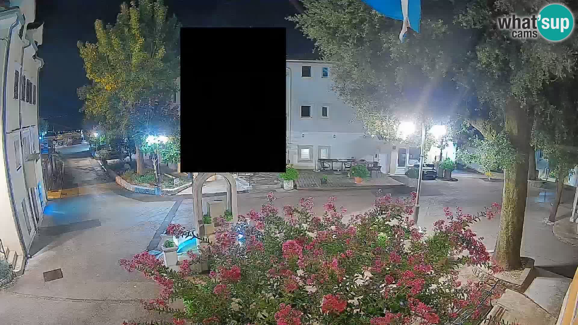 Webcam Centro Draga di Moschiena – Vista live sul centro