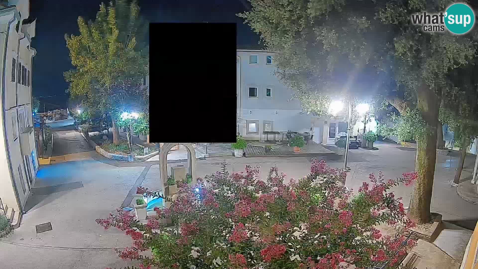 Webcam Centro Draga di Moschiena – Vista live sul centro