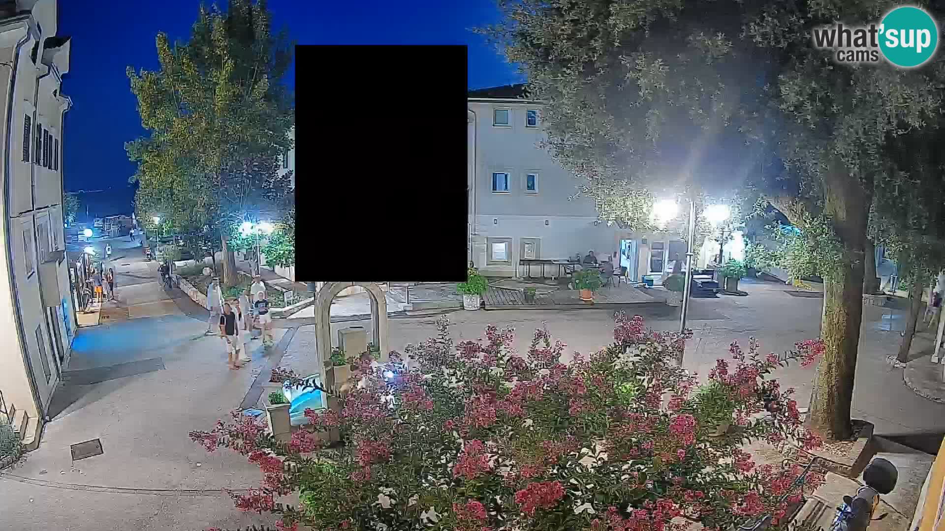 Webcam Centro Draga di Moschiena – Vista live sul centro