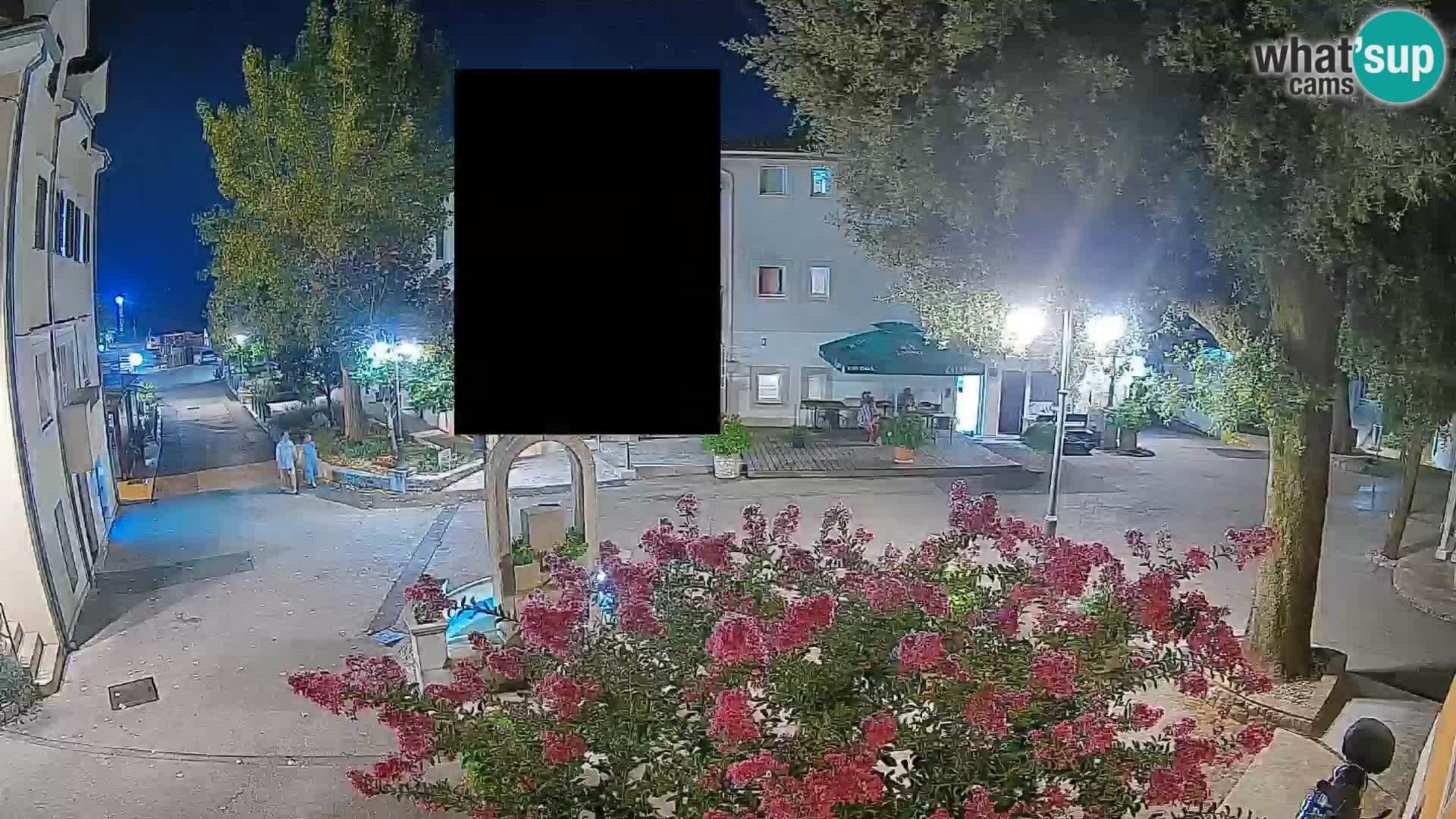 Webcam Centro Draga di Moschiena – Vista live sul centro