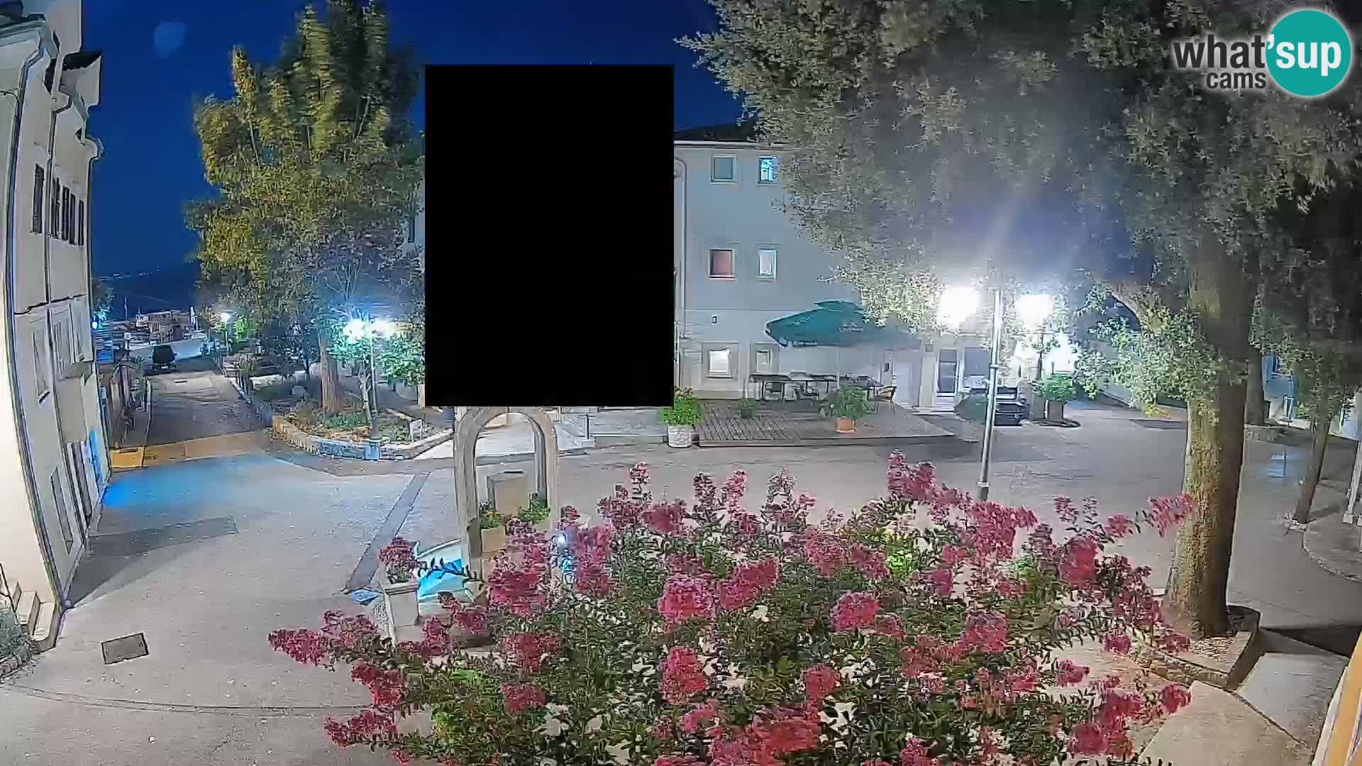 Webcam Centro Draga di Moschiena – Vista live sul centro