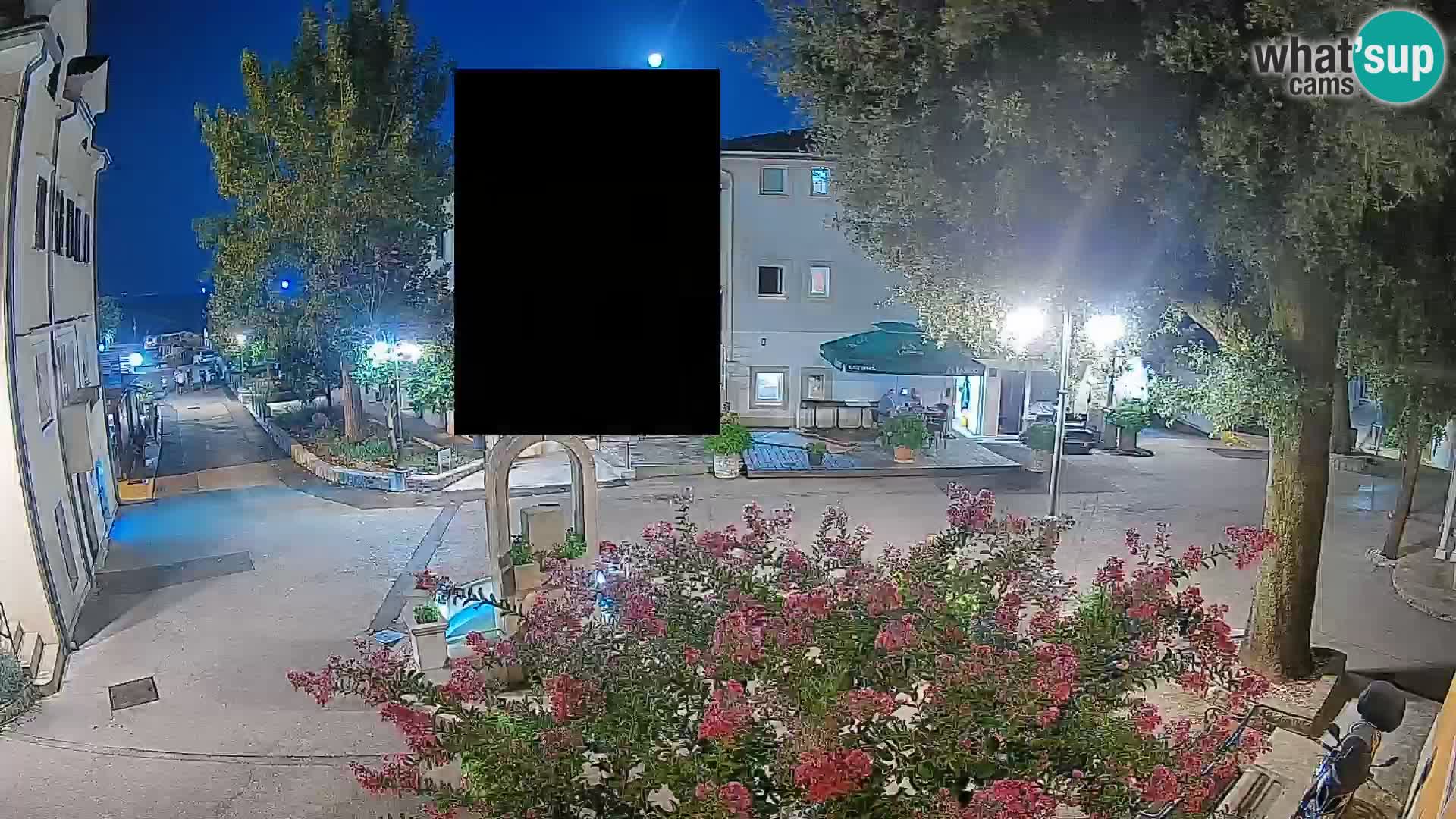 Webcam Centro Draga di Moschiena – Vista live sul centro