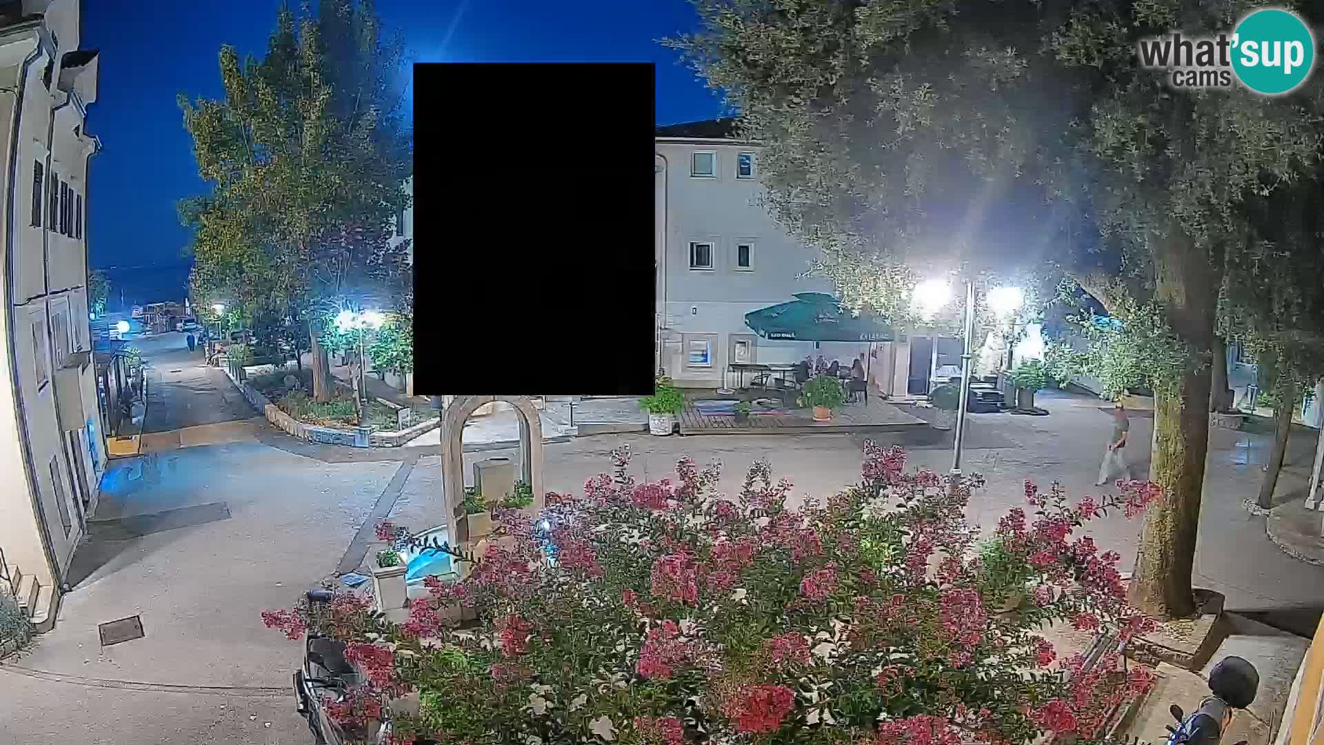 Webcam Centro Draga di Moschiena – Vista live sul centro