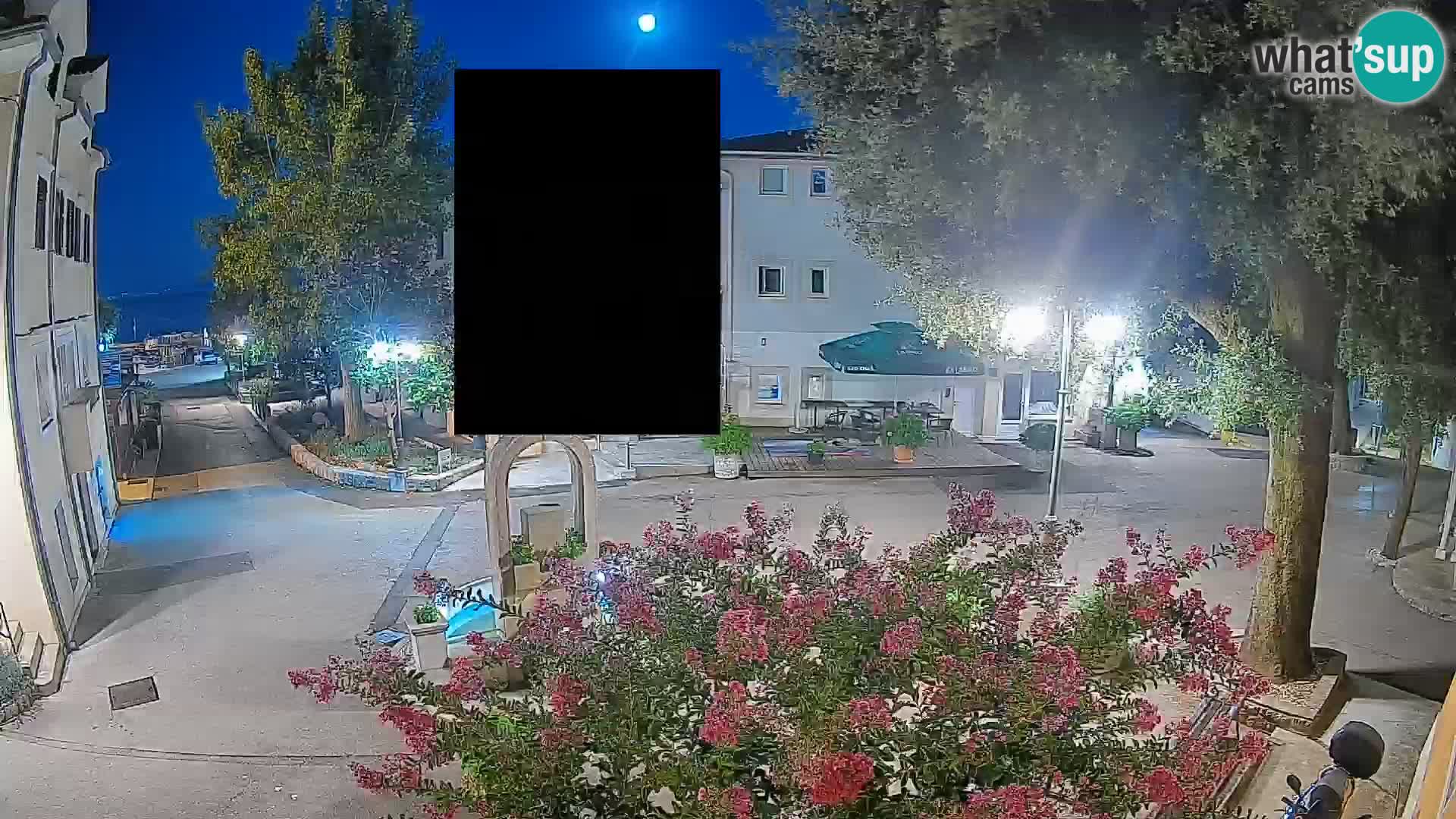Webcam Centro Draga di Moschiena – Vista live sul centro