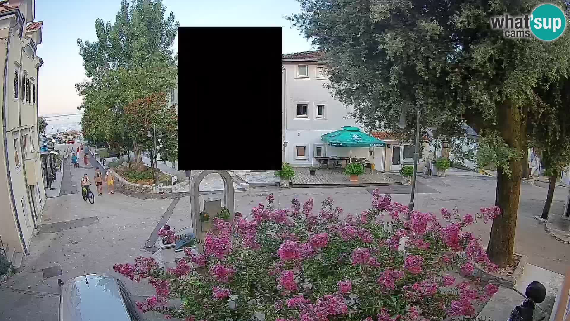Webcam Centro Draga di Moschiena – Vista live sul centro